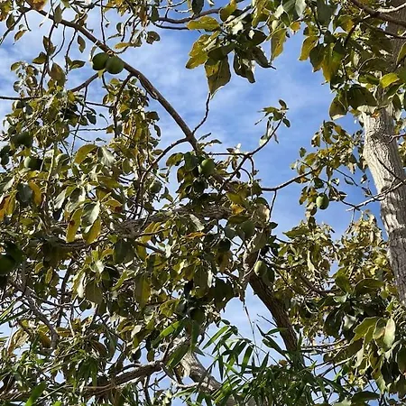 Casa vacanze Casa Do Til, *